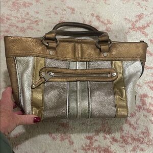 Tignanello Metallic Women's Bag